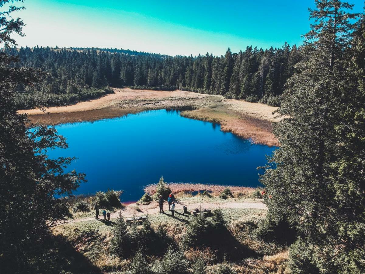 Apartment Bolfenk Pohorje - Forest Nest Hočko Pohorje Zewnętrze zdjęcie